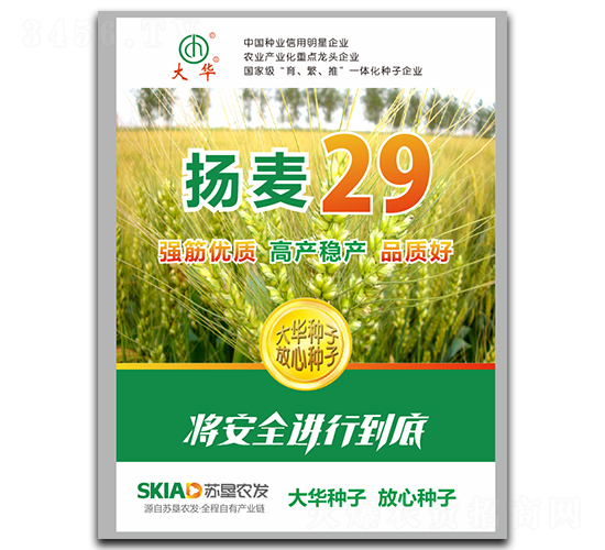 ����29-С������-����ҵ