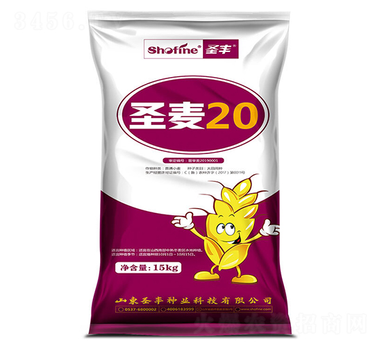 ʥ��20-С������-ʥ����ҵ