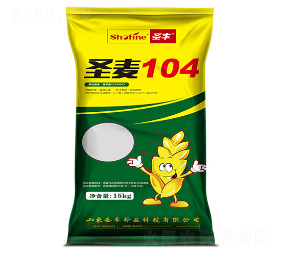 ʥ��104-С������-ʥ����ҵ
