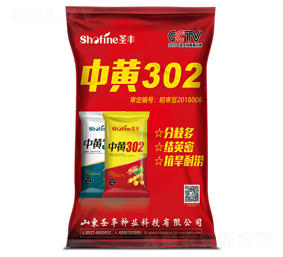 �л�302-������-ʥ����ҵ