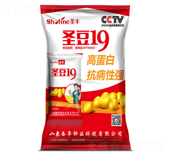 ʥ��19-������-ʥ����ҵ