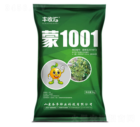 ��1001-������-ʥ����ҵ