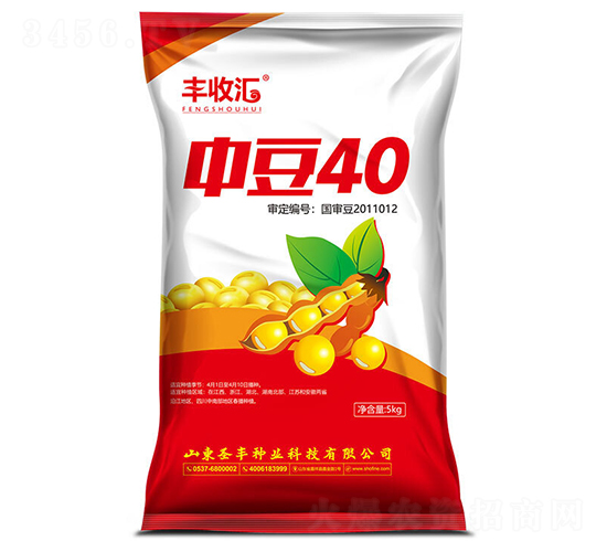 �ж�40-������-ʥ����ҵ