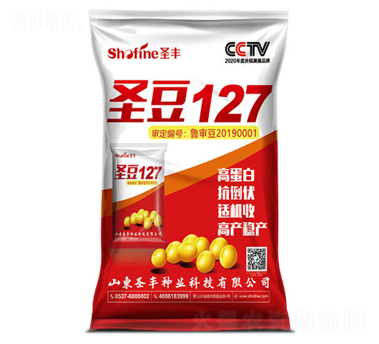ʥ��127-������-ʥ����ҵ