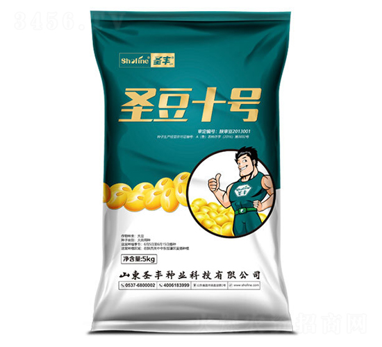 ʥ��10��-������-ʥ����ҵ