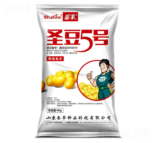 ʥ��5��-������-ʥ����ҵ