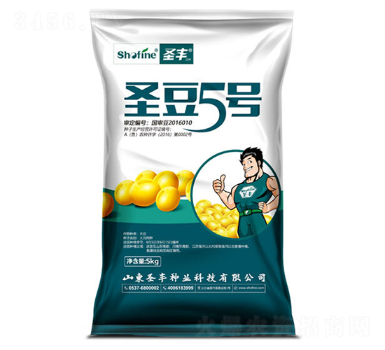 ʥ��5-������-ʥ����ҵ