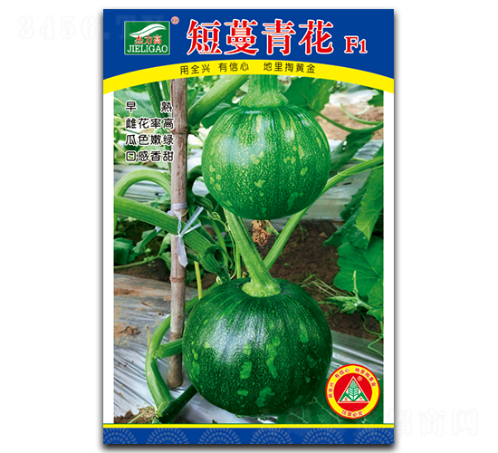 �����໨-С�������-ȫ����ҵ