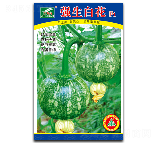 ǿ���׻�-С�������-ȫ����ҵ