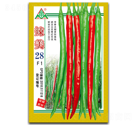 ����28-�߽�����-ȫ����ҵ