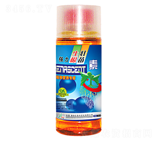 ǿ������׳��-�ڼѷ�