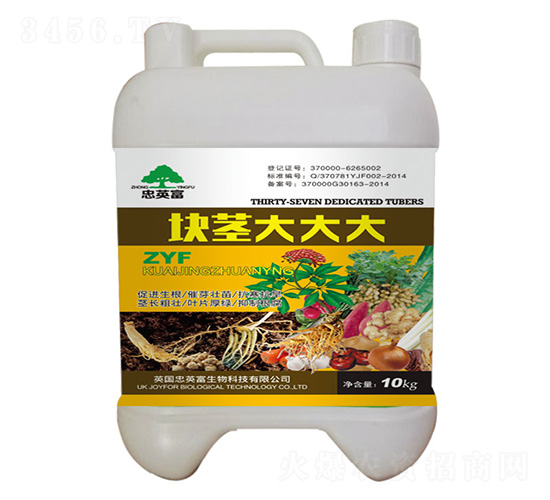 �龥����-�ڼѷ�