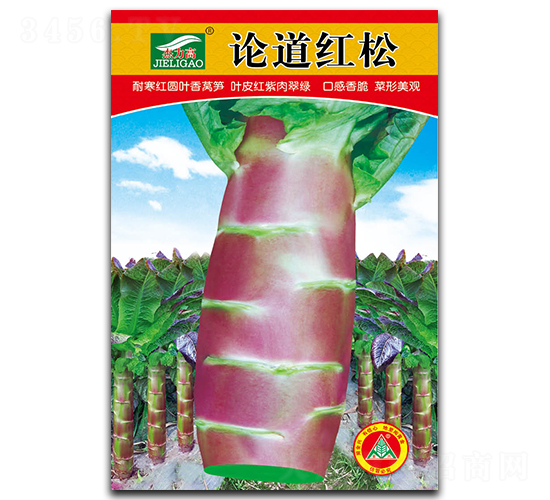 �۵�����-ݫ������-ȫ����ҵ