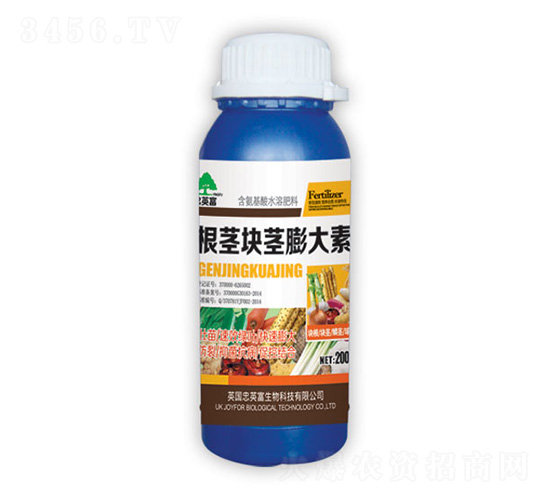 �����龥�����-�ڼѷ�