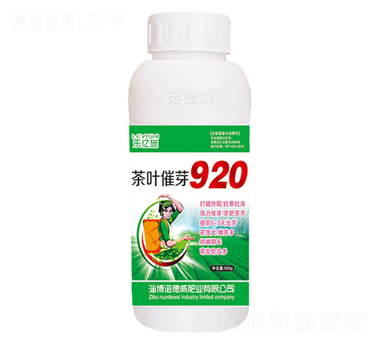 ��Ҷ��ѿ920-ŵ����