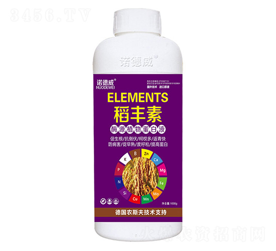 ������-ŵ����
