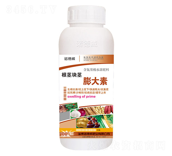 �����龥�����-ŵ����