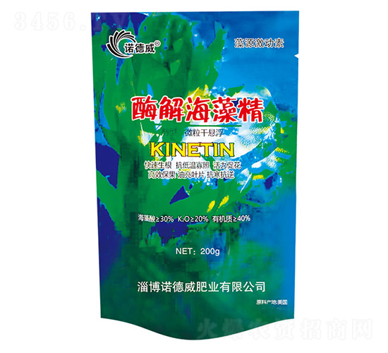 ø�⺣�徫-ŵ����