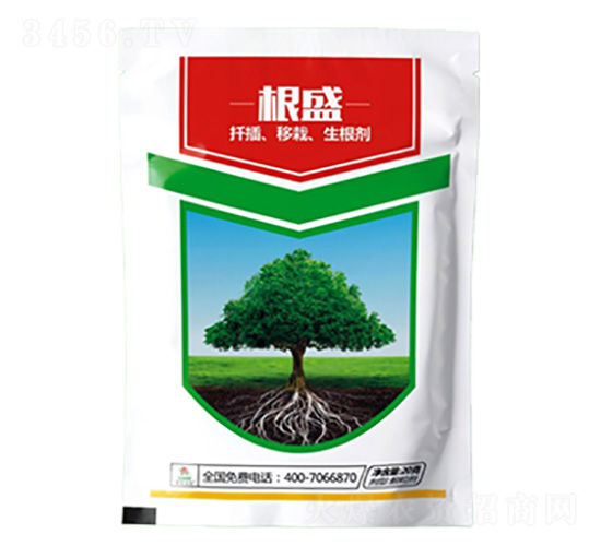 20g���˸�ʢ-�����ũ