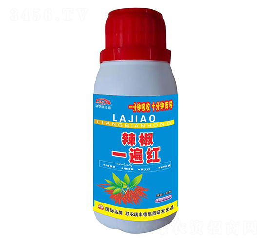 ����һ��죨ˮ����-����