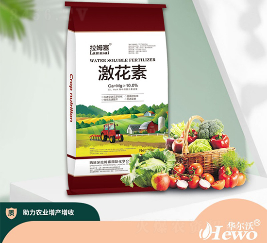 �����أ��죩-��ķ��-������