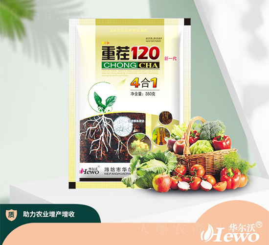 �ز�120����һ����-������