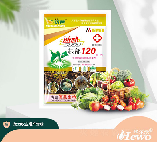 �ٲ�����120-������