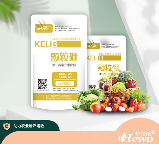������-������