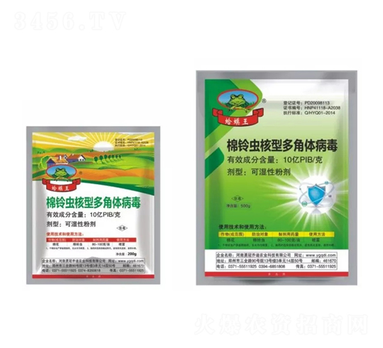 �������Ͷ���岡��-�����-�¹�