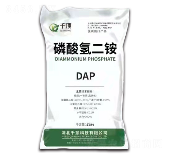 ��������DAP-ǧ��
