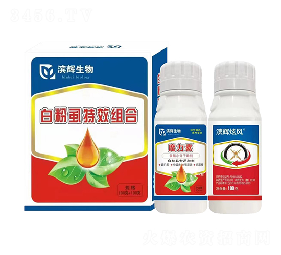 �����ŷ硫�׷�ʭ�����װ-��������