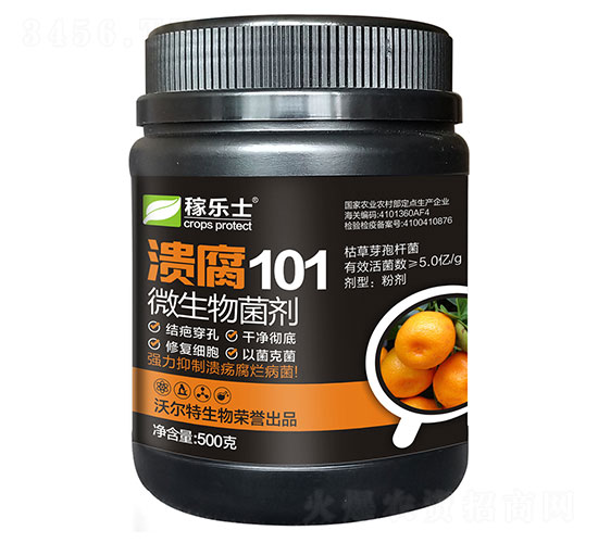 ����101��΢���������-������-�ֶ���