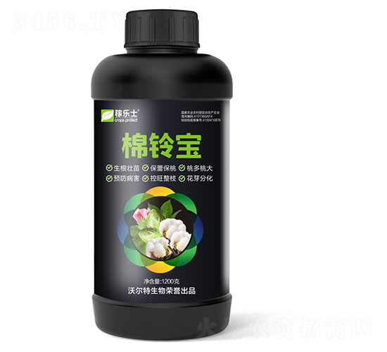 ���屦-������-�ֶ���