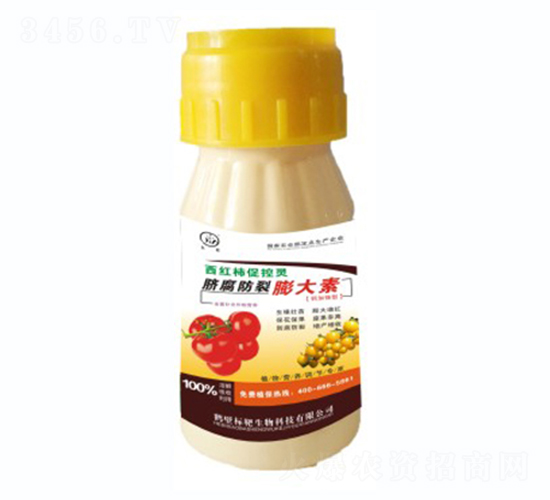 �������긯���������-�������