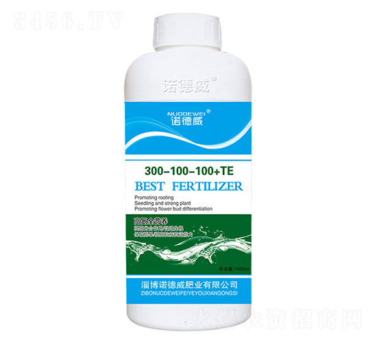 �ߵ�ȫӪ��300-100-100+TE-ŵ����