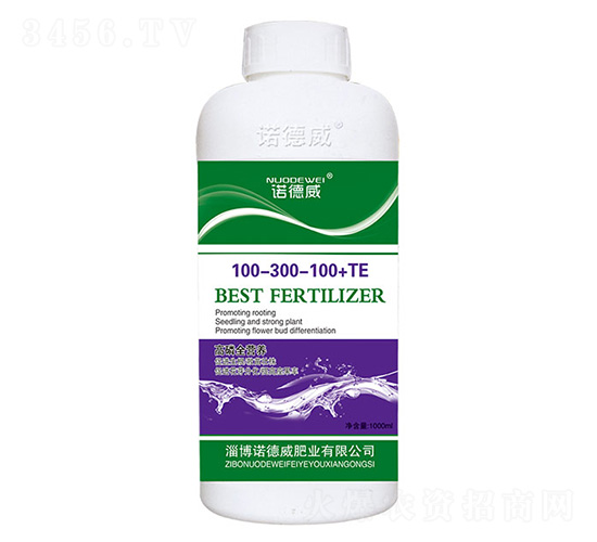 ����ȫӪ��100-300-100+TE-ŵ����