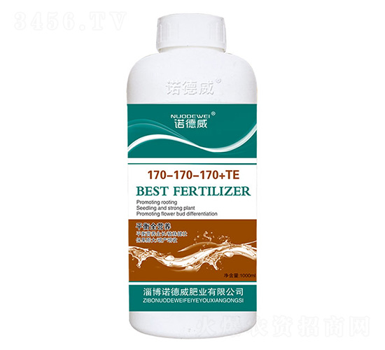 ƽ��ȫӪ��170-170-170+TE-ŵ����