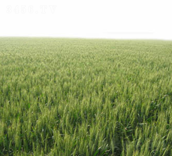 ����66-С������-������ҵ