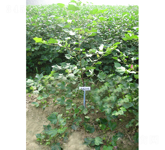 ³����28-�޻�����-������ҵ