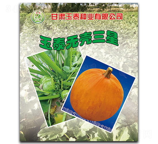 ��̩�޿�����-�޿Ǻ�«����-��̩��ҵ