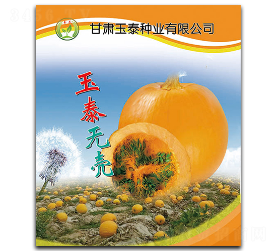 ��̩�޿�-�޿Ǻ�«����-��̩��ҵ