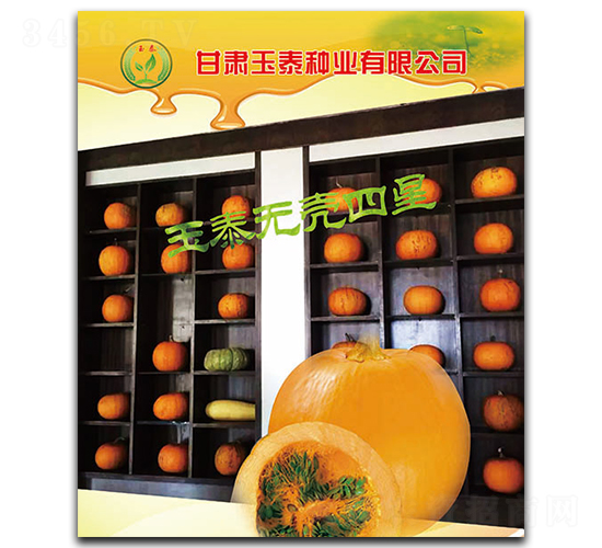 ��̩�޿�����-�޿Ǻ�«����-��̩��ҵ
