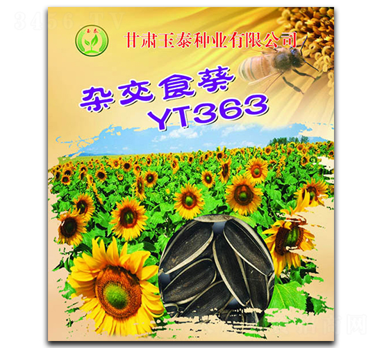 �ӽ�ʳ��YT363-���տ�����-��̩��ҵ