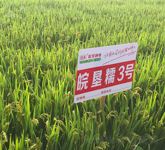 ���Ŵ3��-ˮ������-������ҵ