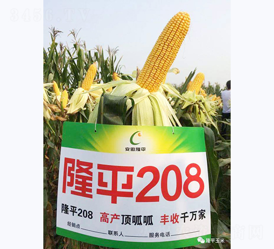 ¡ƽ208-��������-������ҵ