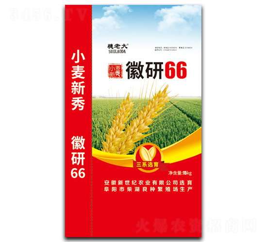 ����66-С������-������ҵ