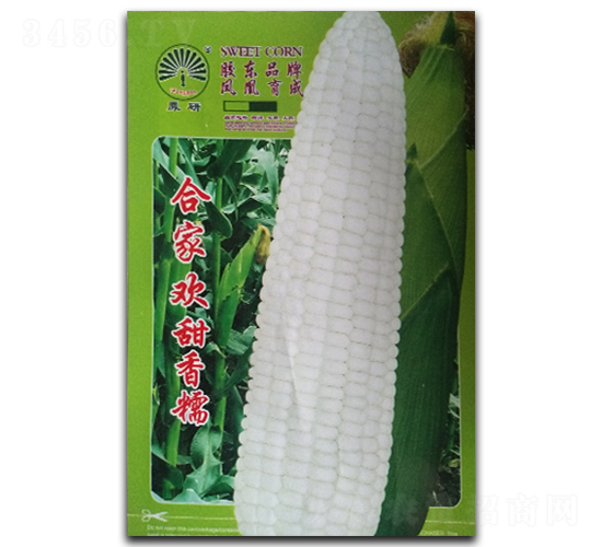 �ϼһ�-Ŵ��������-�����ҵ