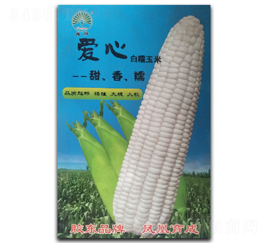 ����-Ŵ��������-�����ҵ
