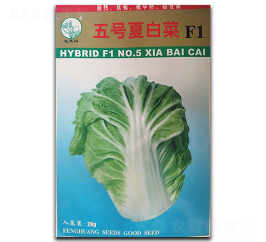 ����İײ�-�ײ�����-�����ҵ