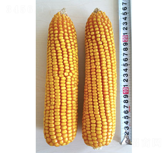 �Ǻ�8054-��������-�Ǻ���ҵ